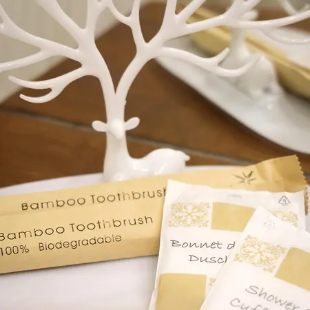 Parva Domus דירה