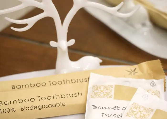 Parva Domus Apartment